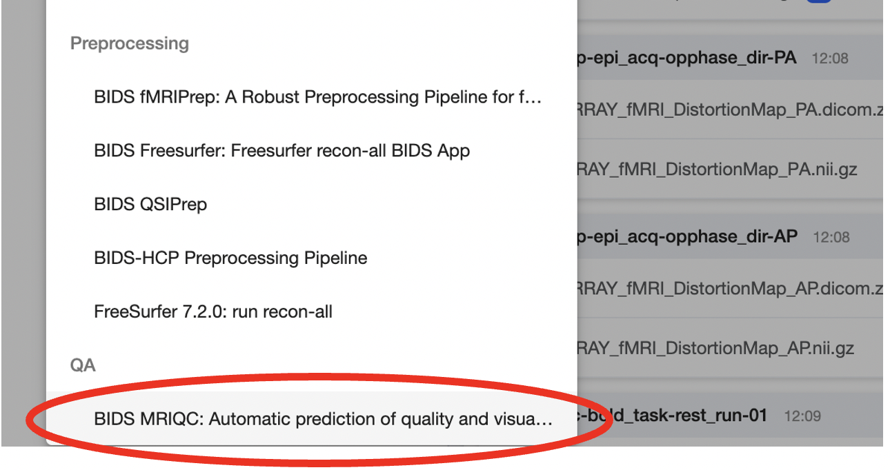 analysis prompt